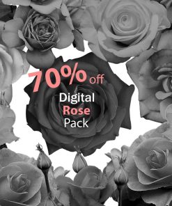 Rose Tattoo Pack 40+ IMAGES